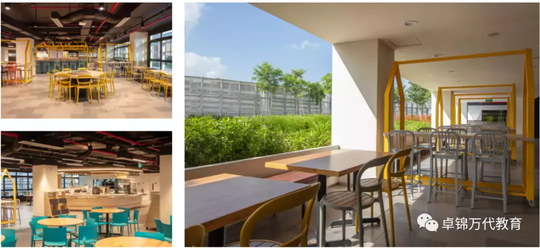 新加坡國際學校 【3】萊仕國際學校Nexus