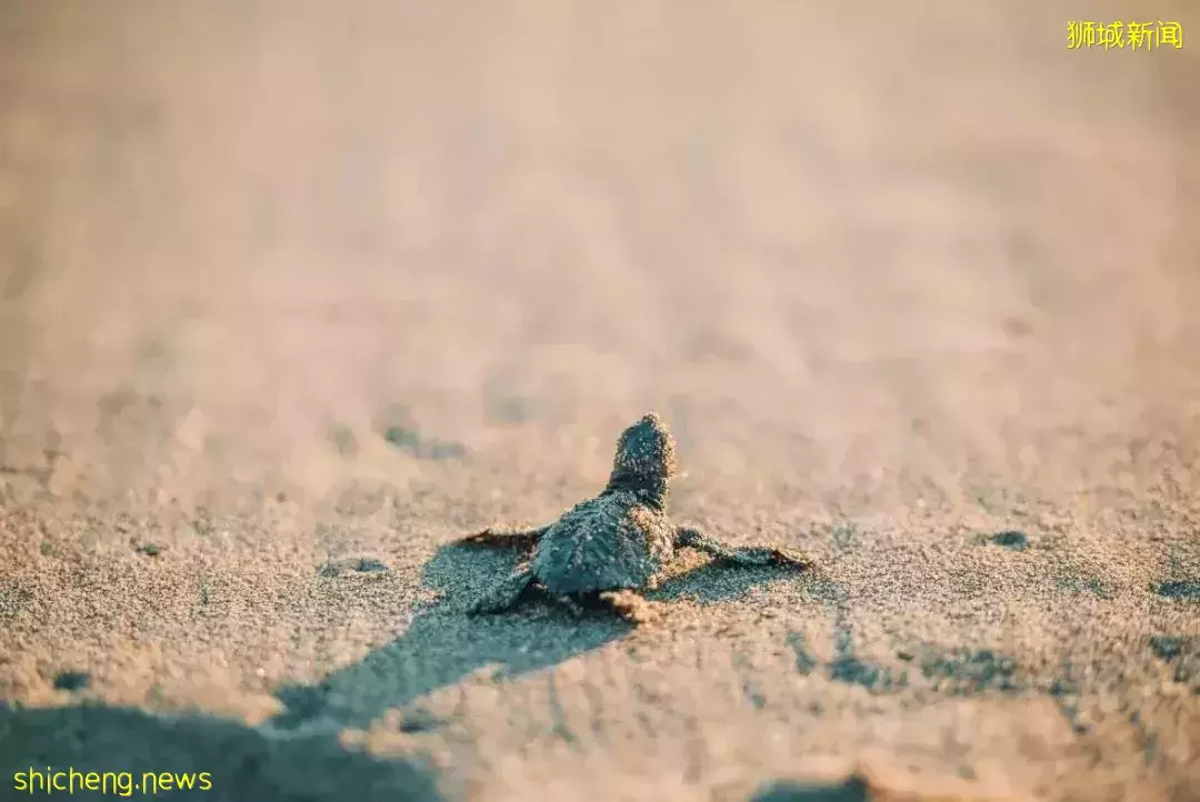 盤點最適合親子遊的20間酒店！玩得舒服，住得過瘾