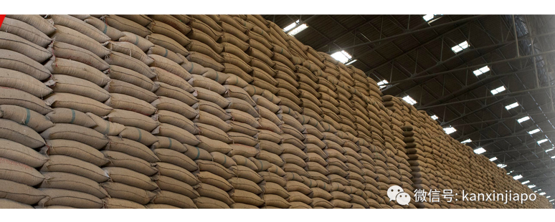 今天确诊破百人,总计xx人 |新加坡政府说食品价格或波动