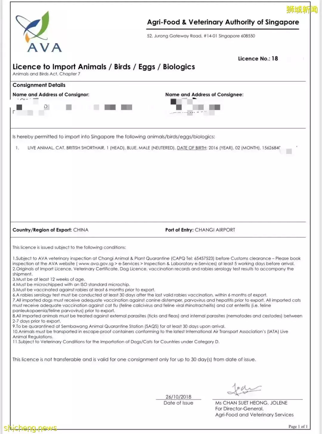 耗时6个月,隔离30天,我的宝贝终于来新加坡跟我团聚了