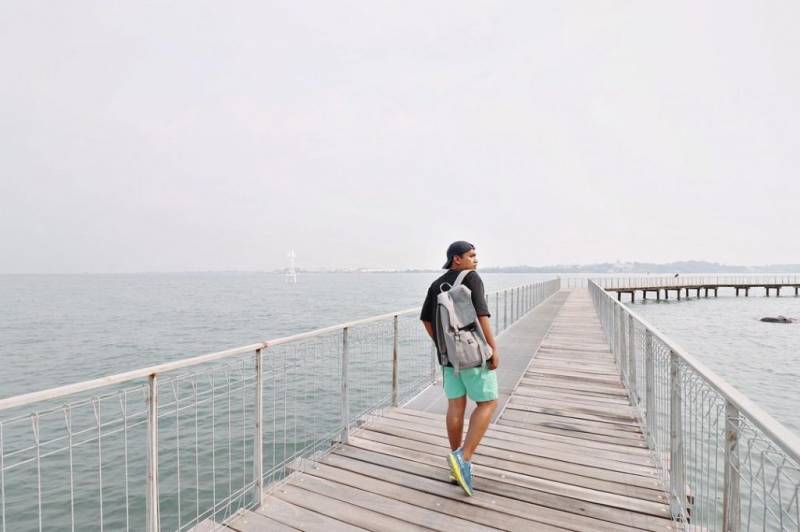 新加坡多元化自然生態!Chek Jawa Wetlands 島上濕地公園🏝 徒步探索、沿海浮橋邂逅美景