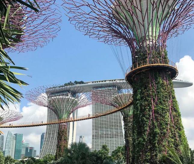 玩在獅城 坡島隱藏IG拍照打卡點推薦