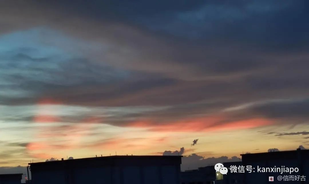 昨天傍晚新加坡出现粉色天空,大波美图刷遍全网