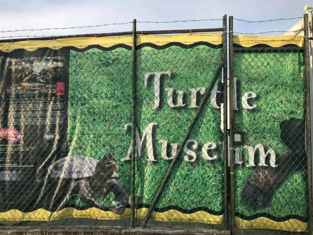 撈魚、釣蝦、蹦床、開挖機、燒烤...這家24小時新加坡農場，太好玩了吧