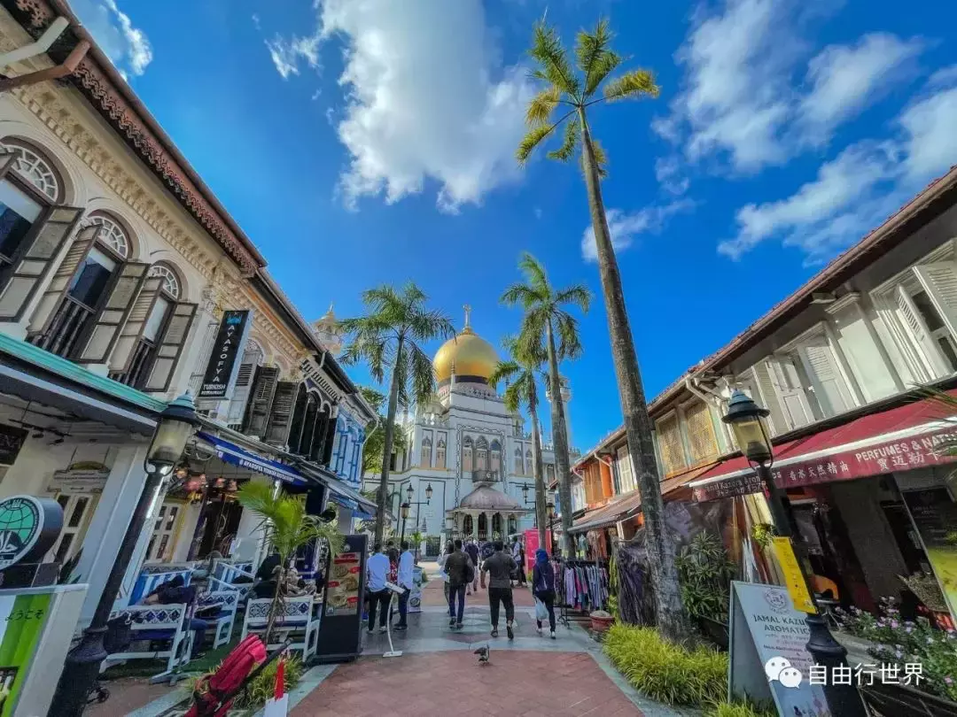 新加坡居然也有皇宫? 多元新加坡之甘榜格南