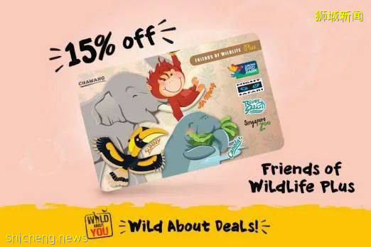 21個新加坡假期營!放飛無處安放的熊孩子