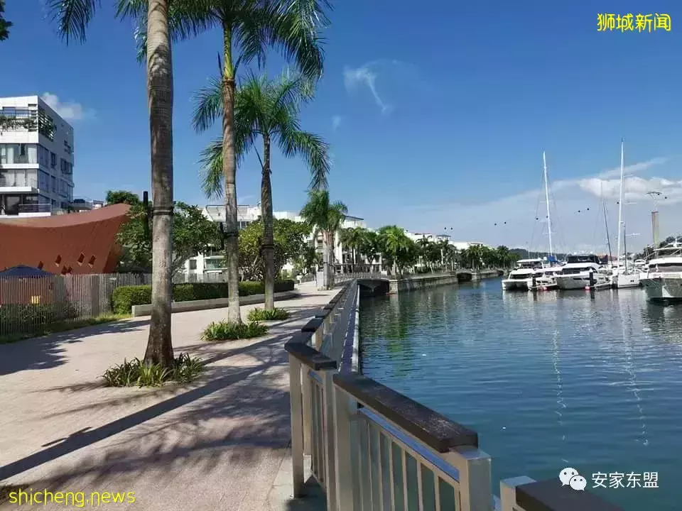 新加坡性價比高的大平層盤點,對面的土豪看過來,中新兩地3千萬美金富豪4年內會增50%