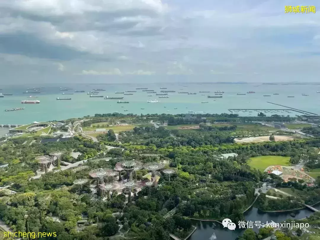 不惑之年我又来到坡岛读研,记录那些辛酸苦辣