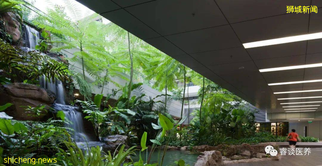 亚洲低碳绿色医院的典范:新加坡邱德拔医院