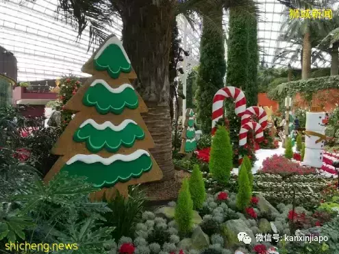 【下周活动】炸鸡买1送1、Superdry大甩卖、滨海湾公园圣诞打卡