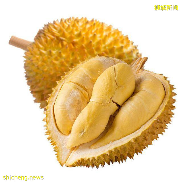 关于“新加坡”的20个有趣的冷知识，快看看你知道多少