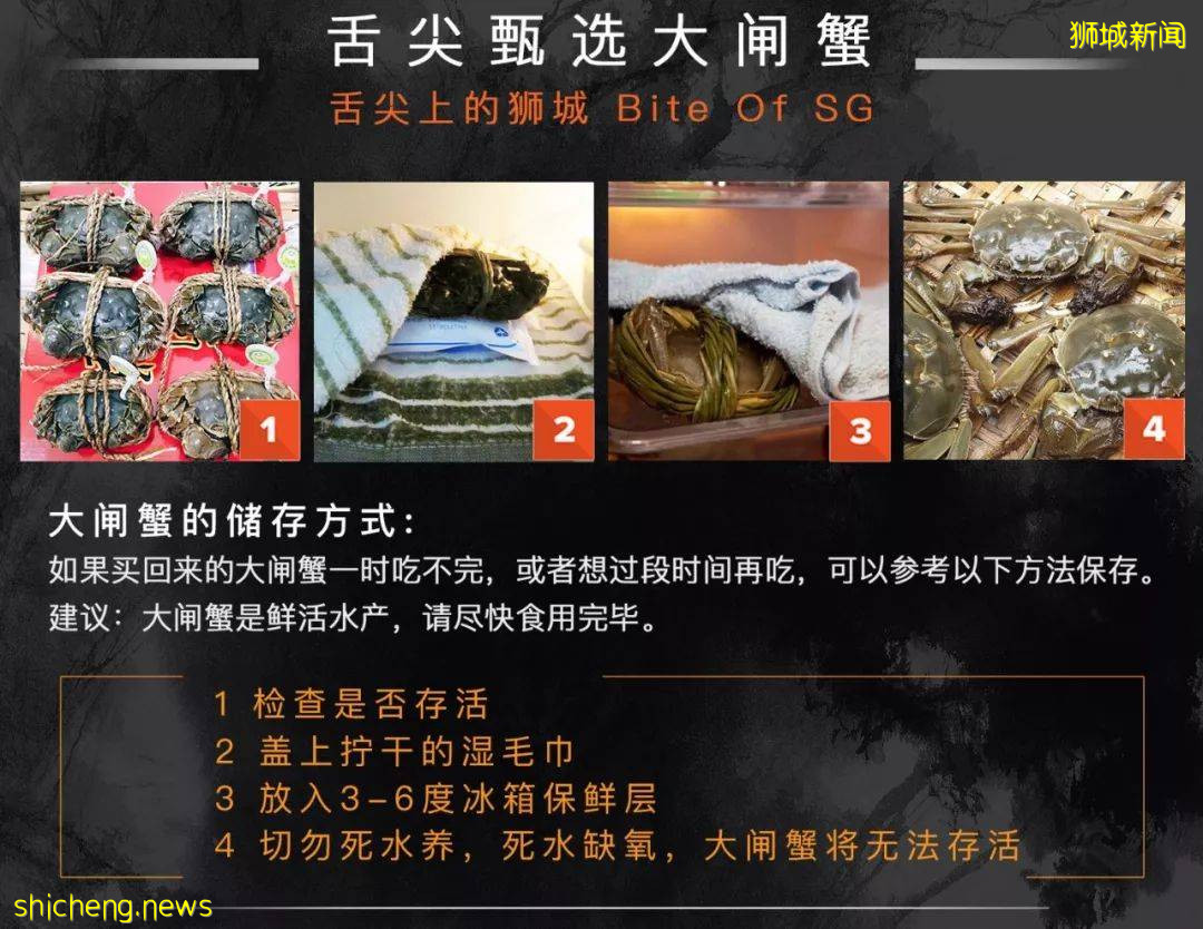 終終終于等到你！2021大閘蟹首登獅城，舌尖嘗鮮“六月黃”