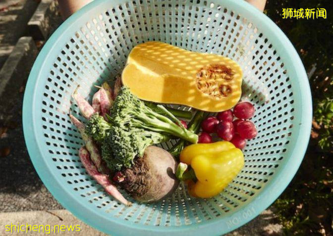 新加坡受疫情影响菜价飙涨！肉类、海鲜、蔬菜最高涨35%