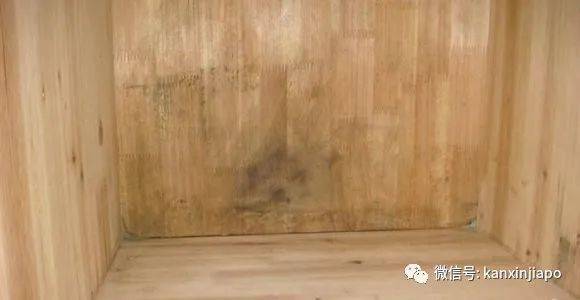 Get~在新加坡選衣櫥的正確打開方式