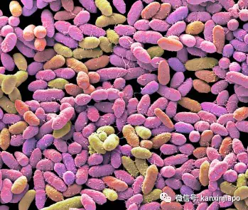 新加坡开办“粪便银行”,存自己的便便是为了干嘛