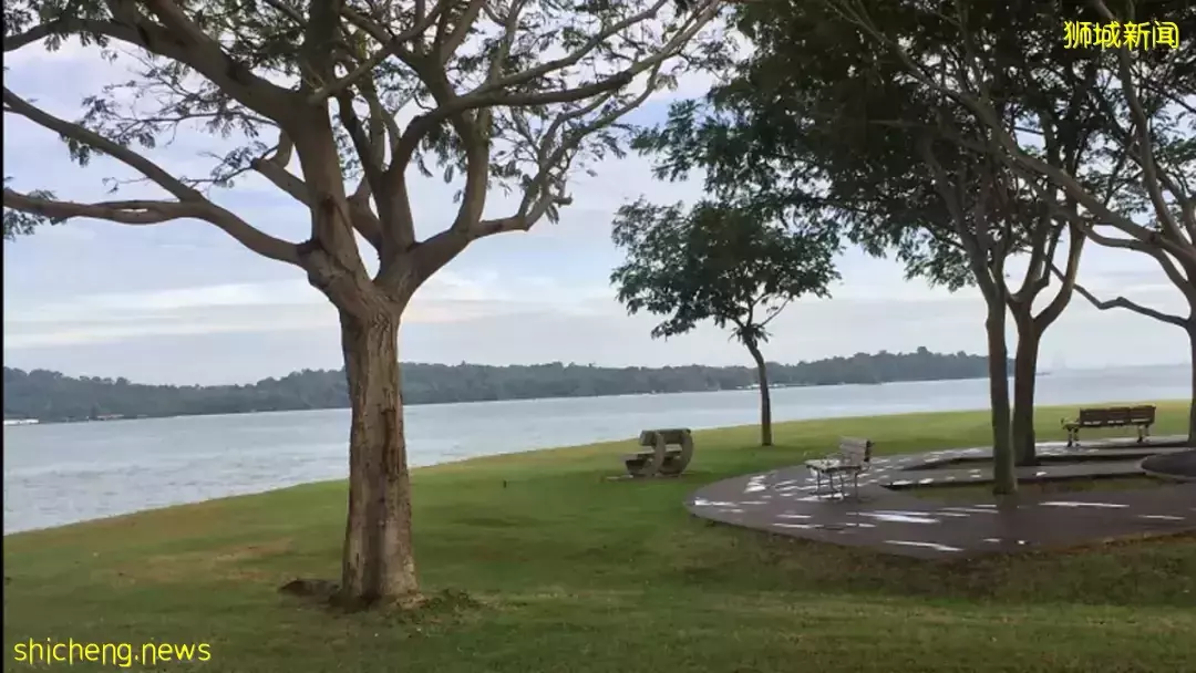 剛從新加坡回到上海,隔離14天後確診新冠!再見,這些中國人最後做了這個選擇