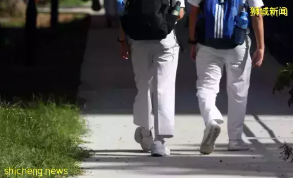 20年來最高升學率!2021新加坡劍橋N水准考試成績放榜,79.2%學生可升中五