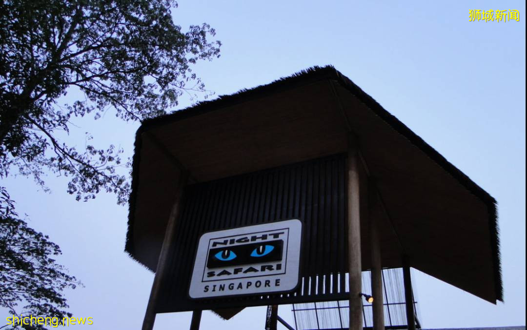 走遍世界 狮城的独特魅力 新加坡