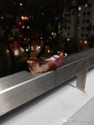 新加坡组屋居民最近流行“晒猪肉”?