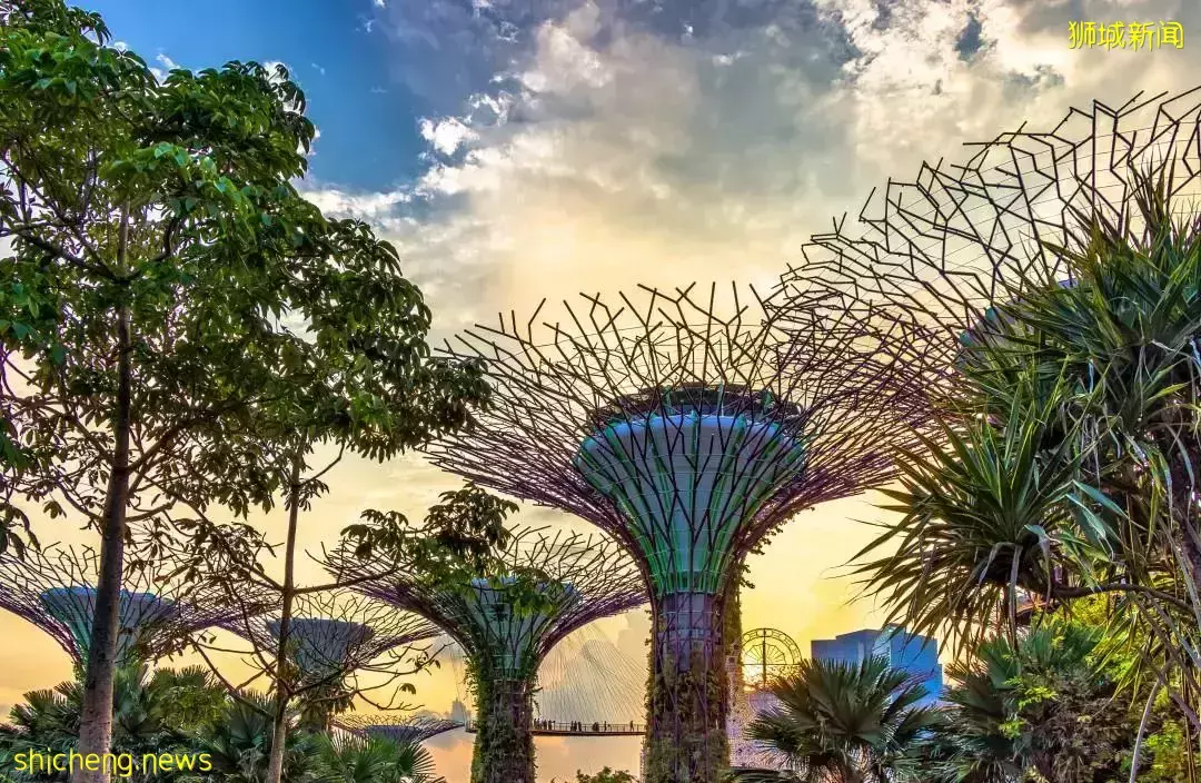 一起來盤點2021年新加坡房地産的三個“關鍵詞”吧