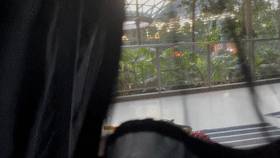 免費送票！$58就能露營機場，兩天一夜住帳篷，快搶