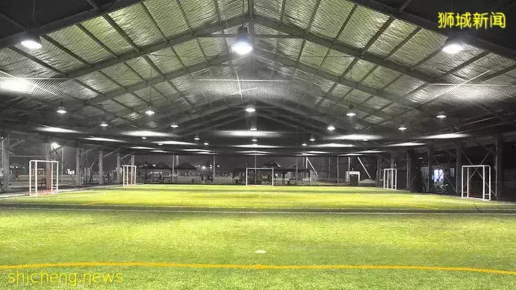 那些新加坡不睡覺的夜貓子，都在幹什麽