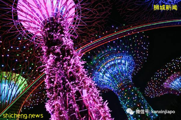 教你如何10元玩转新加坡