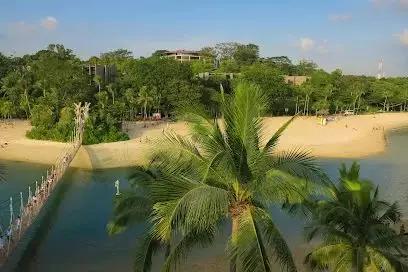 突發新政！7月1日起，新加坡這些地方全面禁煙