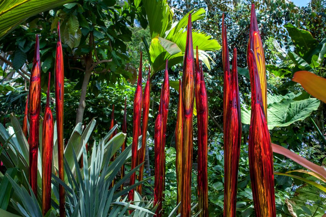 在美國、日本、法國都超火的玻璃花園搬來新加坡啦