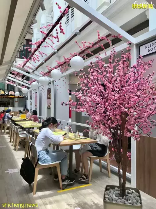新加坡超人气樱花主题餐厅!限定舒芙蕾、樱花抹茶拿铁,超高颜值