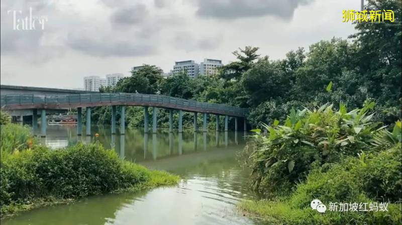 反对党帅哥的盛港导览视频爆红 原来狮城住宅区这么美