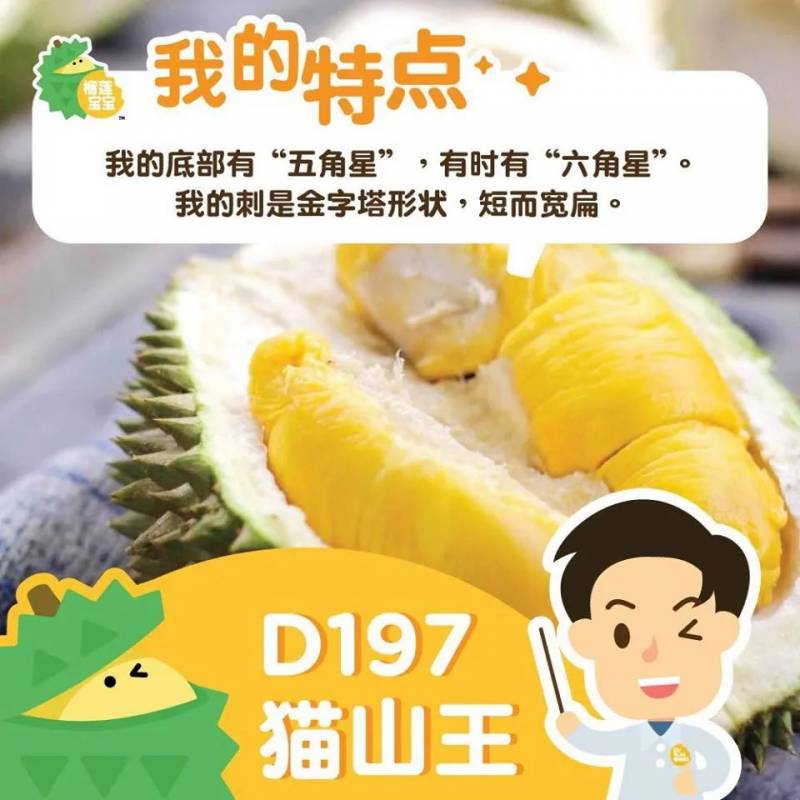 DurianBB推出無限量榴梿自助餐，人均僅需$36.80！貓山王，D24 XO，888都有