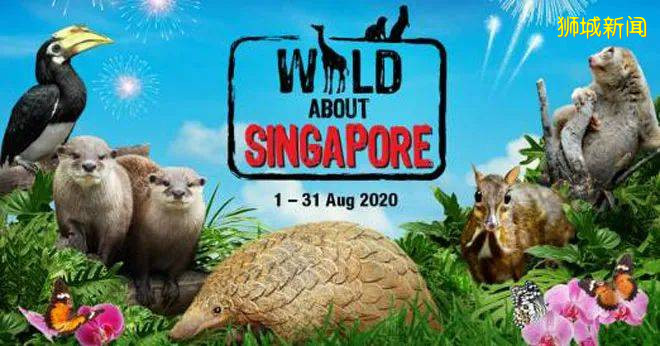 【周末活動】消防局開放參觀，$20濱海灣花園無限次，5.5折動物園門票