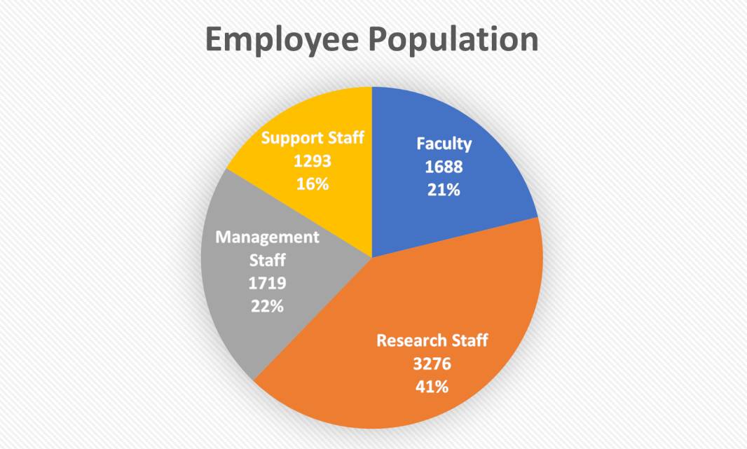 南洋理工大学 2020/21年度本科生数据出炉