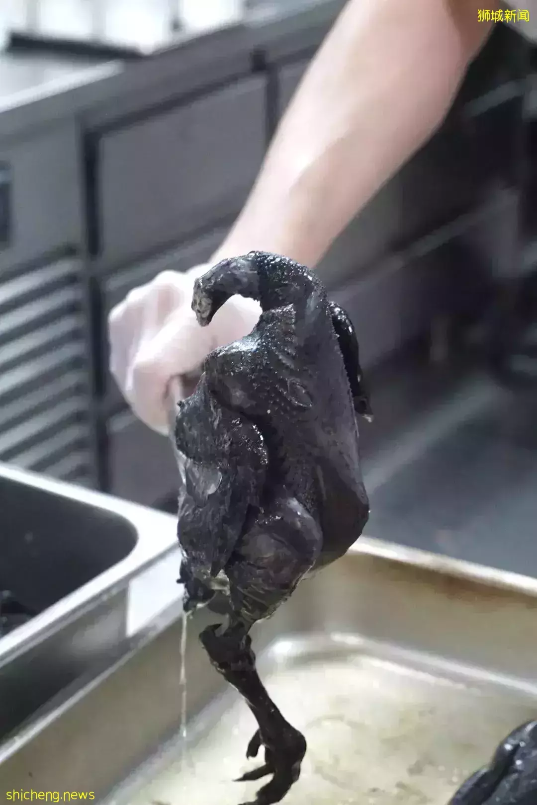 揭秘新加坡頂級月子會所“KAI”到底有多“壕”