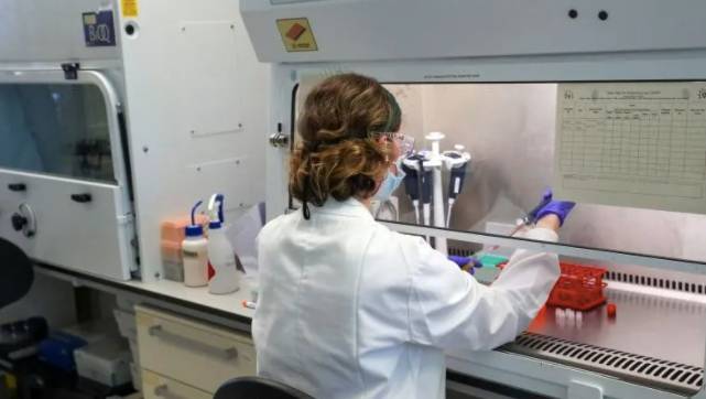 各國疫苗定價大比！新加坡已獲疫苗采購權