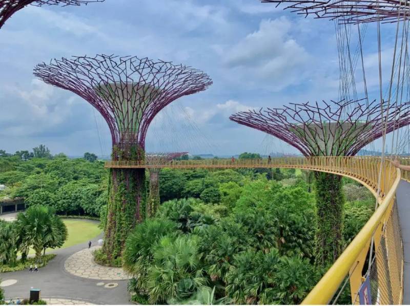 新加坡是最安全的留學國家之一