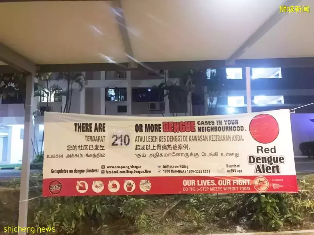 异国生活 如果我还在新加坡工作,会不会更安稳