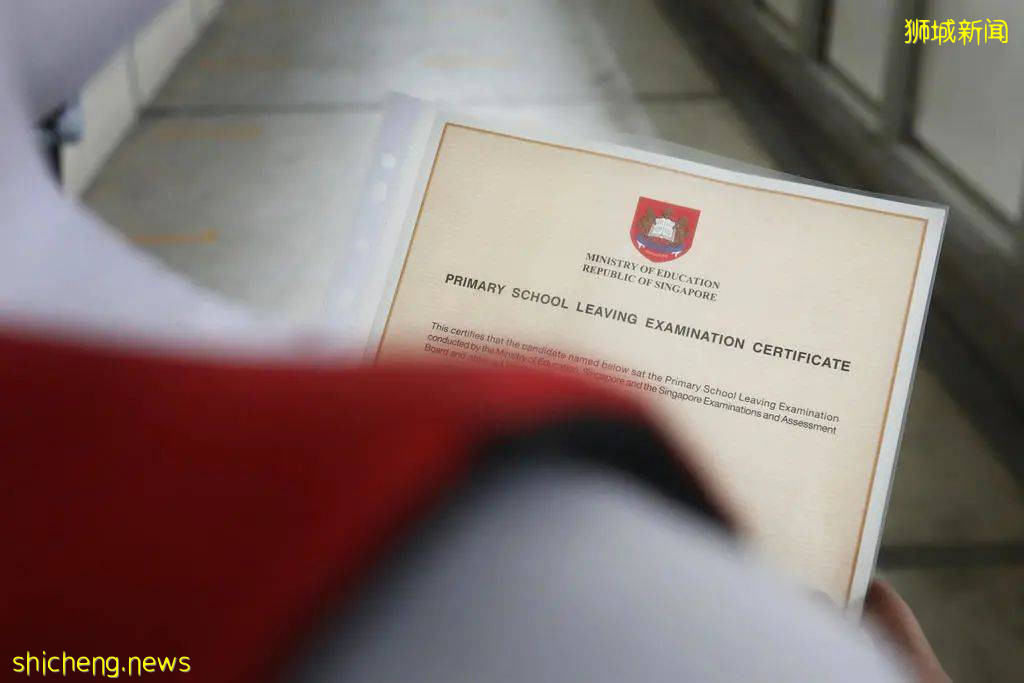 必看！新加坡PSLE新政，考點變化！線下CCA即將恢複