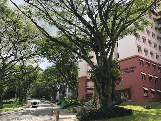 宽松适宜的新加坡亲子游：教育，科技，乐园等均不错过的游玩攻略