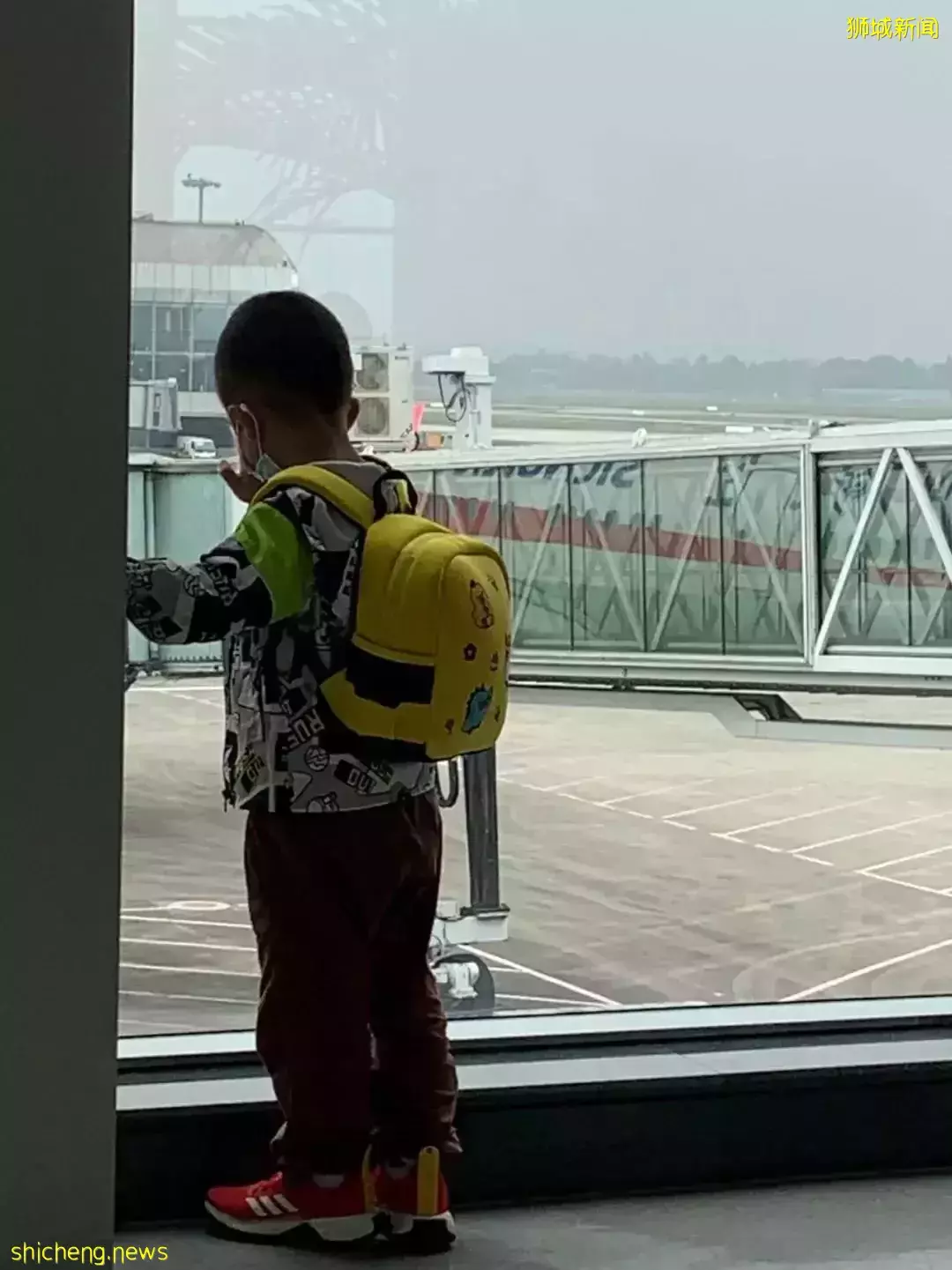 在疫情最疯狂的时候,带4岁娃留学新加坡!这个85后妈妈后悔了吗