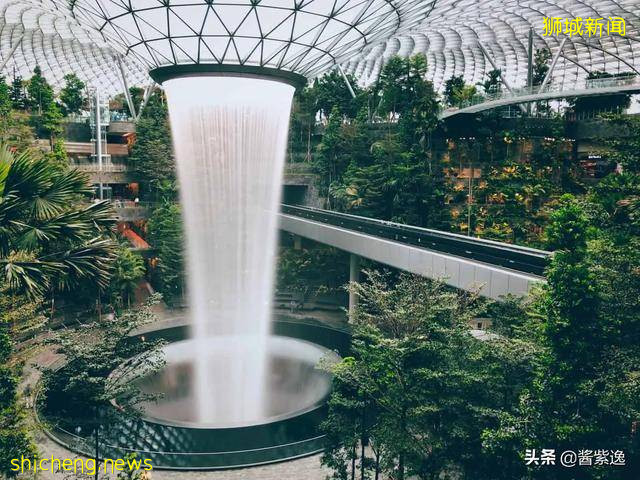 新加坡冷知識:出現首位女總統,海南雞飯是國菜