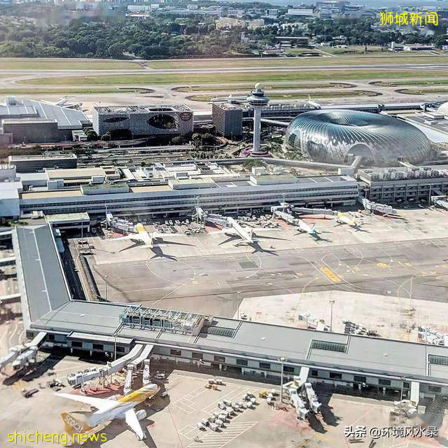 欣賞（新加坡機場）景觀最新創意，還以爲走進了大自然。牛!