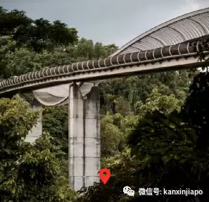 新加坡最新奇的6座建築物，你打卡了嗎