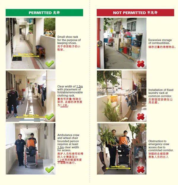 快過年了，竟有人在新加坡組屋走廊開“養雞場”，30只好熱鬧