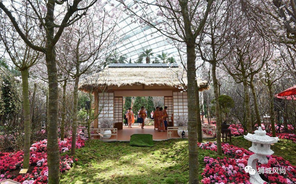 SAKURA MATSURI AT GARDENS BY THE BAY