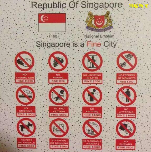 新加坡走路也要管，行人左行、别玩手机、听歌也不行