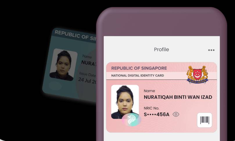 实用!在新加坡生活不得不知的网上办事指南