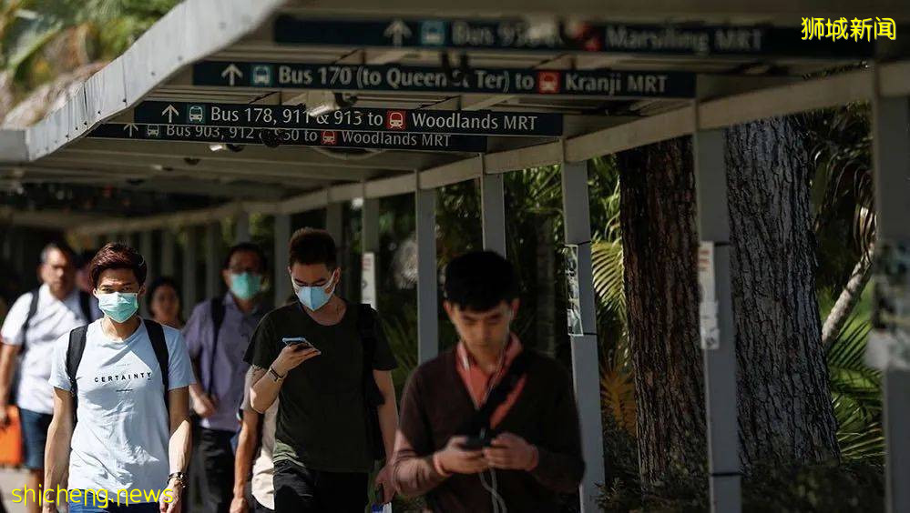 因疫情被困新加坡，歸國無望又遭電子詐騙，慘