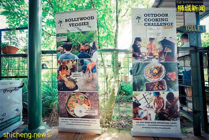 新加坡放宽旅游限制，小众网红景点等你来打卡